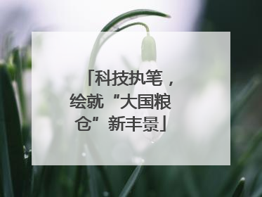 科技执笔，绘就“大国粮仓”新丰景