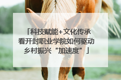 科技赋能+文化传承 看开封职业学院如何驱动乡村振兴“加速度”