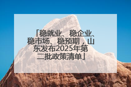 稳就业、稳企业、稳市场、稳预期，山东发布2025年第二批政策清单