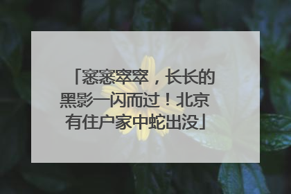 窸窸窣窣，长长的黑影一闪而过！北京有住户家中蛇出没