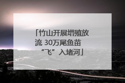 竹山开展增殖放流 30万尾鱼苗“飞”入堵河