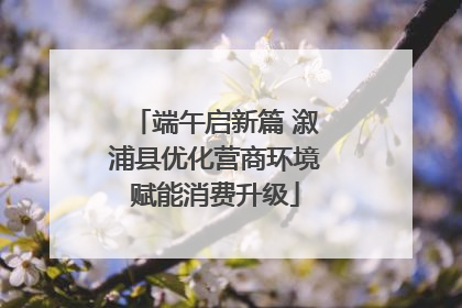端午启新篇 溆浦县优化营商环境赋能消费升级