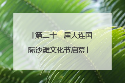 第二十一届大连国际沙滩文化节启幕