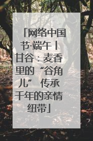 网络中国节·端午丨甘谷：麦香里的“谷角儿” 传承千年的亲情纽带