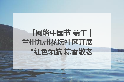 网络中国节·端午｜兰州九州花坛社区开展“红色领航 粽香敬老”端午主题活动