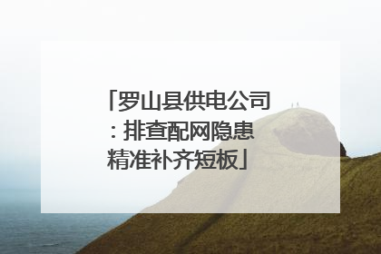罗山县供电公司：排查配网隐患 精准补齐短板