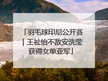 羽毛球印尼公开赛｜王祉怡不敌安洗莹 获得女单亚军