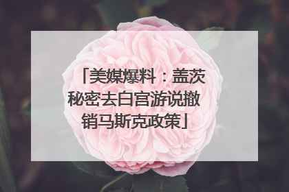 美媒爆料：盖茨秘密去白宫游说撤销马斯克政策