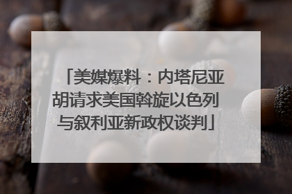 美媒爆料：内塔尼亚胡请求美国斡旋以色列与叙利亚新政权谈判