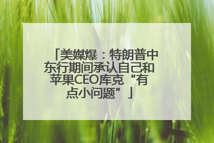 美媒爆：特朗普中东行期间承认自己和苹果CEO库克“有点小问题”
