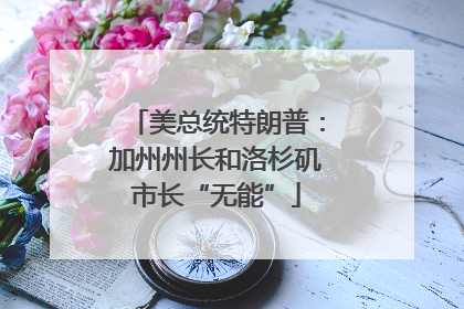 美总统特朗普：加州州长和洛杉矶市长“无能”