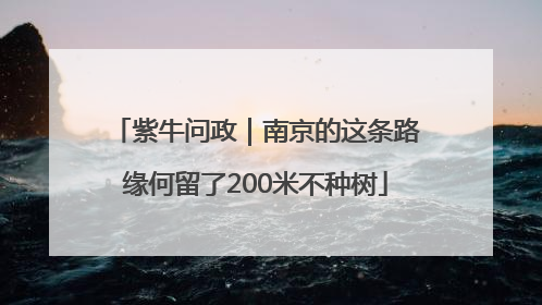 紫牛问政｜南京的这条路缘何留了200米不种树