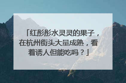 红彤彤水灵灵的果子，在杭州街头大量成熟，看着诱人但能吃吗？