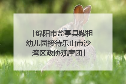 绵阳市盐亭县嫘祖幼儿园接待乐山市沙湾区政协观摩团