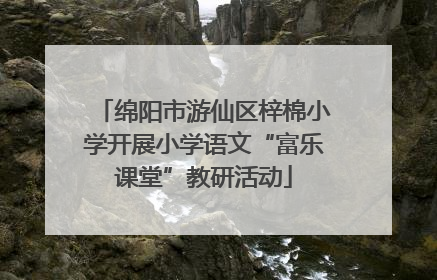 绵阳市游仙区梓棉小学开展小学语文“富乐课堂”教研活动
