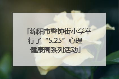 绵阳市警钟街小学举行了“5.25”心理健康周系列活动