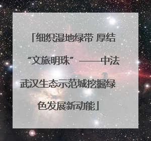 细织湿地绿带 厚结“文旅明珠”——中法武汉生态示范城挖掘绿色发展新动能
