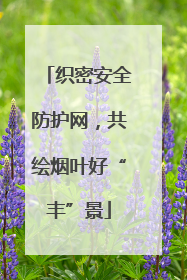 织密安全防护网，共绘烟叶好“丰”景