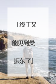 终于又能见到樊振东了