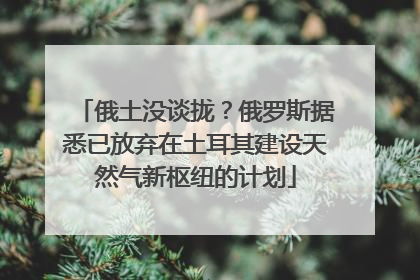 俄土没谈拢？俄罗斯据悉已放弃在土耳其建设天然气新枢纽的计划