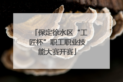 保定徐水区“工匠杯”职工职业技能大赛开赛