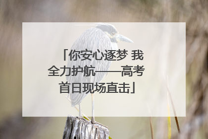 你安心逐梦 我全力护航——高考首日现场直击