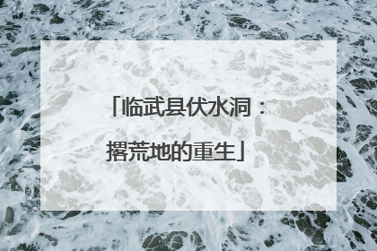 临武县伏水洞：撂荒地的重生