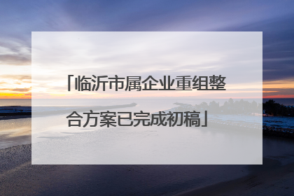 临沂市属企业重组整合方案已完成初稿