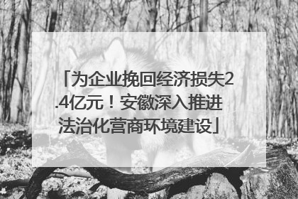 为企业挽回经济损失2.4亿元！安徽深入推进法治化营商环境建设
