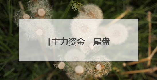 主力资金｜尾盘主力抢筹股来了