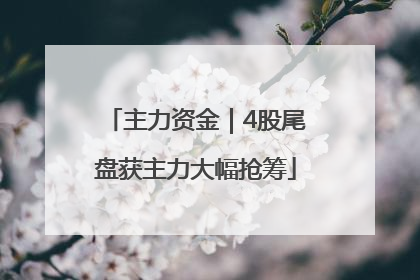 主力资金｜4股尾盘获主力大幅抢筹