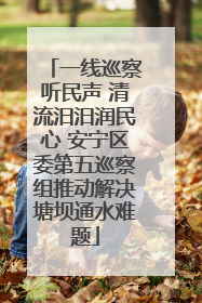 一线巡察听民声 清流汨汨润民心 安宁区委第五巡察组推动解决塘坝通水难题