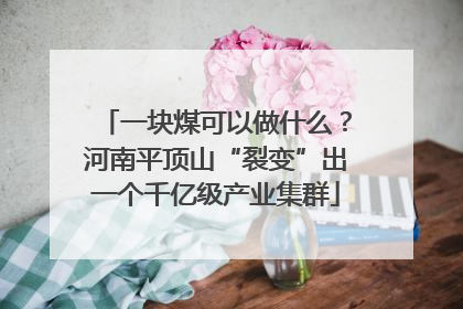一块煤可以做什么？河南平顶山“裂变”出一个千亿级产业集群