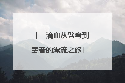 一滴血从臂弯到患者的漂流之旅