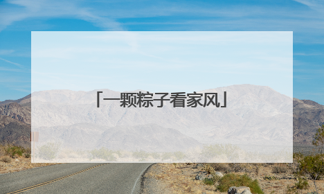 一颗粽子看家风