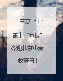 三夏“丰”景｜“五良”齐迎北京小麦收获日