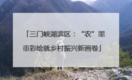 三门峡湖滨区：“农”墨重彩绘就乡村振兴新画卷