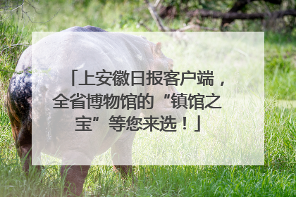 上安徽日报客户端，全省博物馆的“镇馆之宝”等您来选！