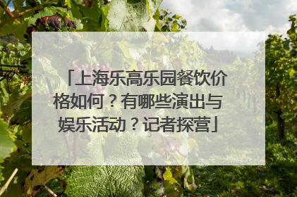 上海乐高乐园餐饮价格如何？有哪些演出与娱乐活动？记者探营