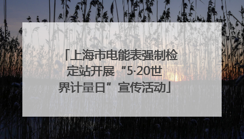 上海市电能表强制检定站开展“5·20世界计量日”宣传活动