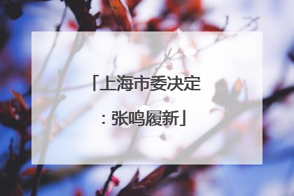 上海市委决定：张鸣履新