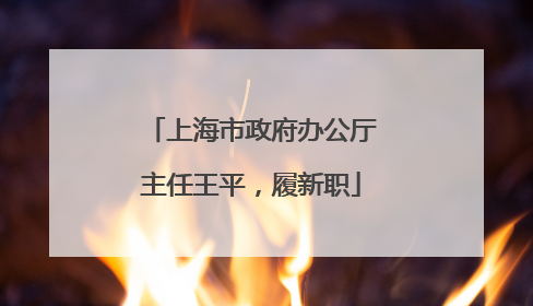 上海市政府办公厅主任王平，履新职