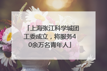 上海张江科学城团工委成立，将服务40余万名青年人