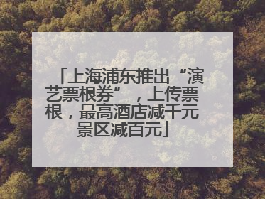 上海浦东推出“演艺票根券”，上传票根，最高酒店减千元景区减百元