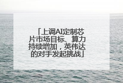 上调AI定制芯片市场目标、算力持续增加，英伟达的对手发起挑战