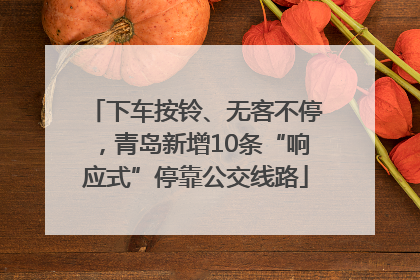 下车按铃、无客不停，青岛新增10条“响应式”停靠公交线路
