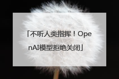 不听人类指挥！OpenAI模型拒绝关闭