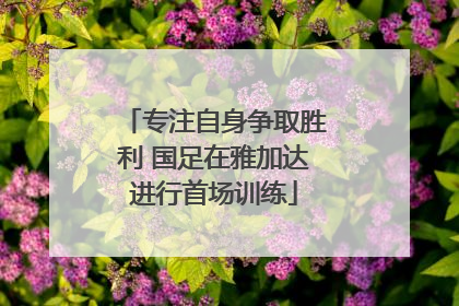 专注自身争取胜利 国足在雅加达进行首场训练