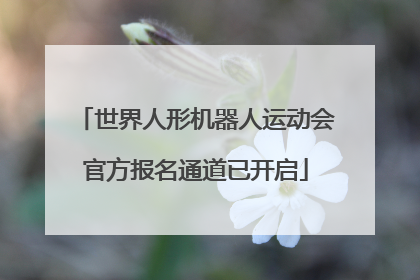 世界人形机器人运动会官方报名通道已开启