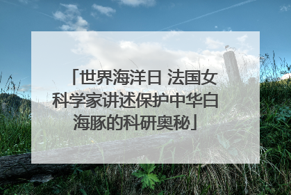 世界海洋日 法国女科学家讲述保护中华白海豚的科研奥秘